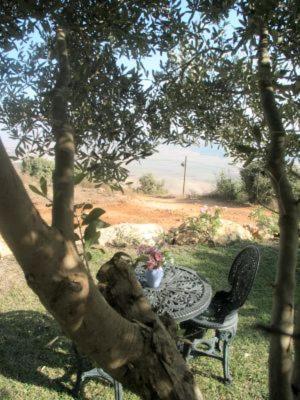 شقة Casa De Giliz Hararit المظهر الخارجي الصورة